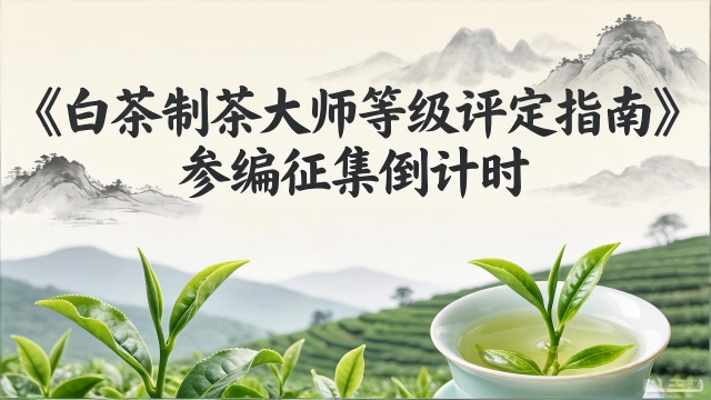 从速报名，《白茶制茶大师等级评定指南》团标即将发布！