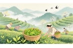 喊山开茶：唤醒春天的千年茶韵