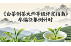 从速报名，《白茶制茶大师等级评定指南》团